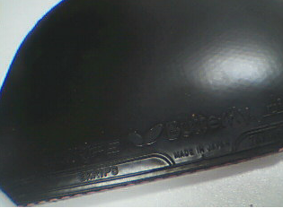 ������EKRIPS(100�����)