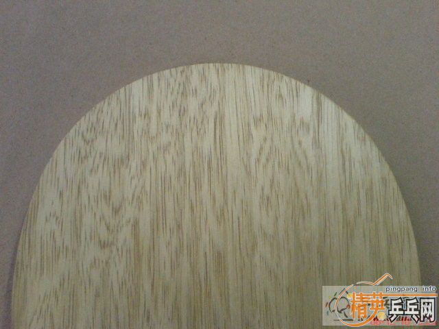 ͦ�� ��ķ��ŵ�� ������