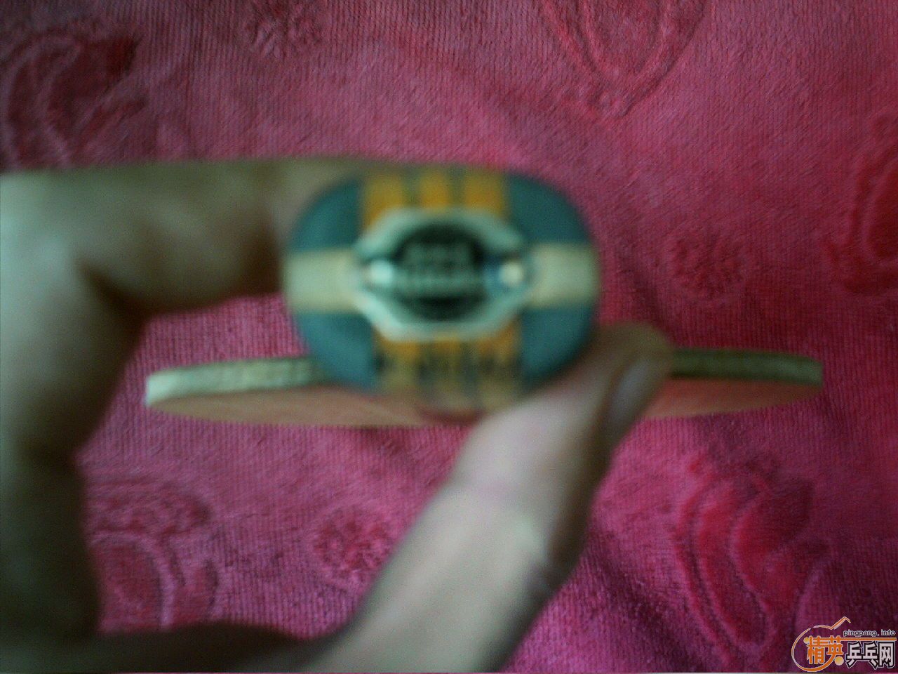 ���������µ�ľ�����������