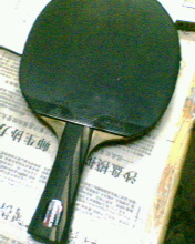 ���ѳ�palio ten˫̼�صװ�