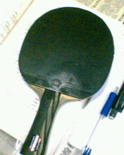 ���ѳ�palio ten˫̼�صװ�