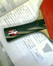 ���ѳ�palio ten˫̼�صװ�