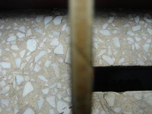 ��˹�Ŀ�̼�ع���TC����ͼ