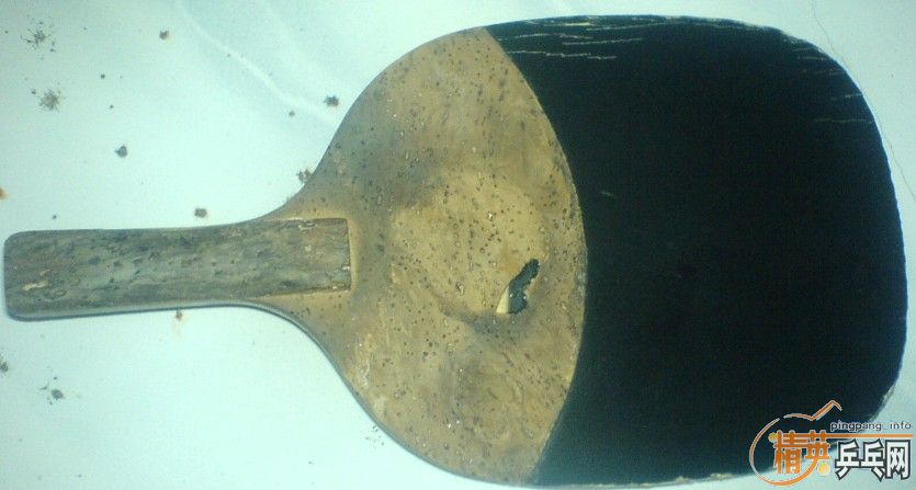 ��ֱ�����ھ��װ壨champion��+������Ƥ150Ԫ�����