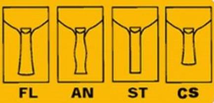Ļ֪ʶͼFLANSTCS