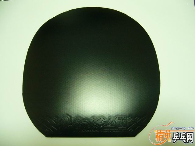 ����PALIO MACRO �¹������׽���