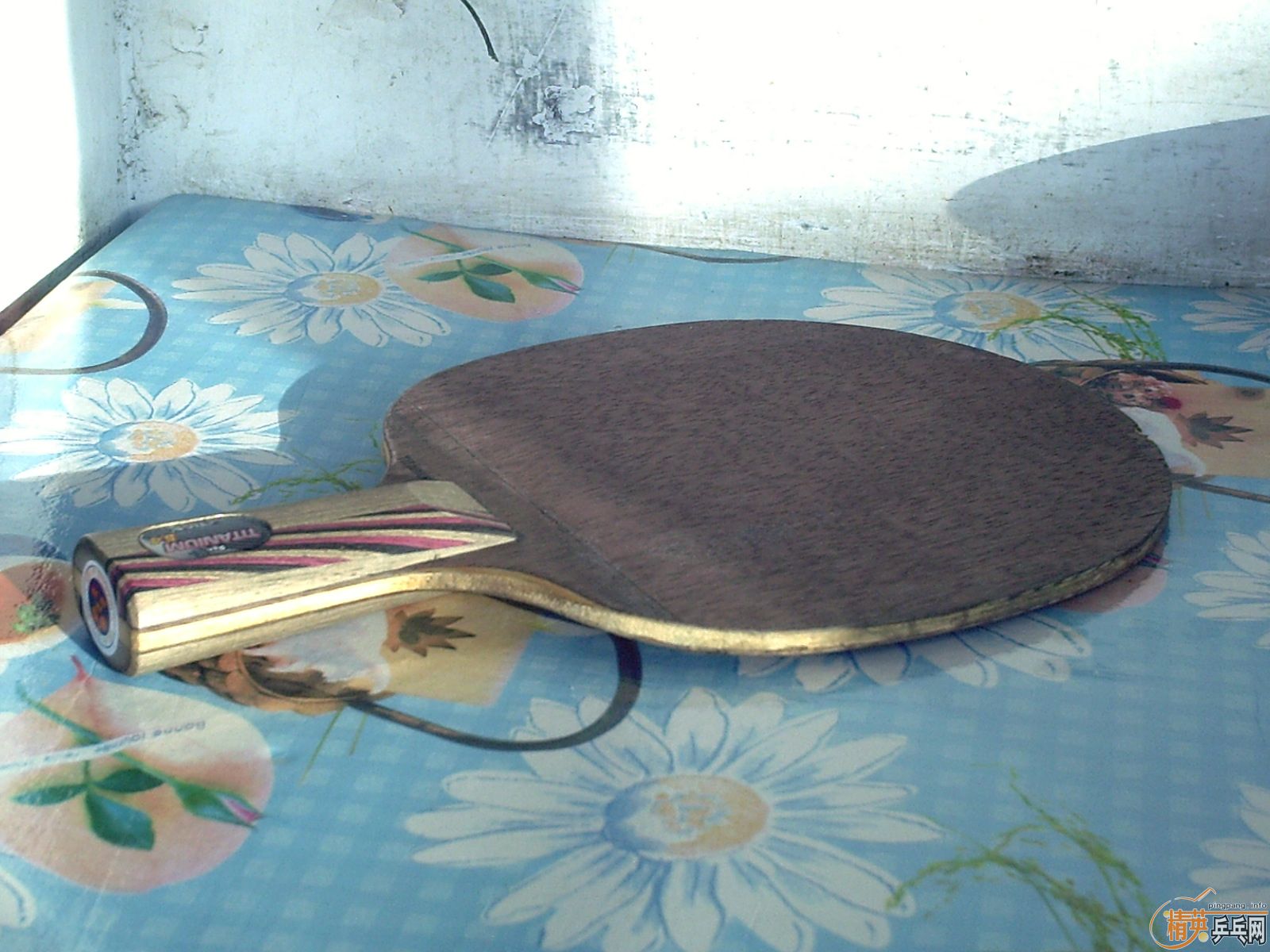 �����ѽ��