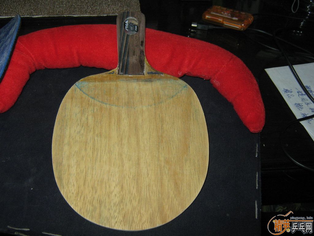 ����֧�ġ�˹�ٿ�ֱ�ġ�����981.�����������