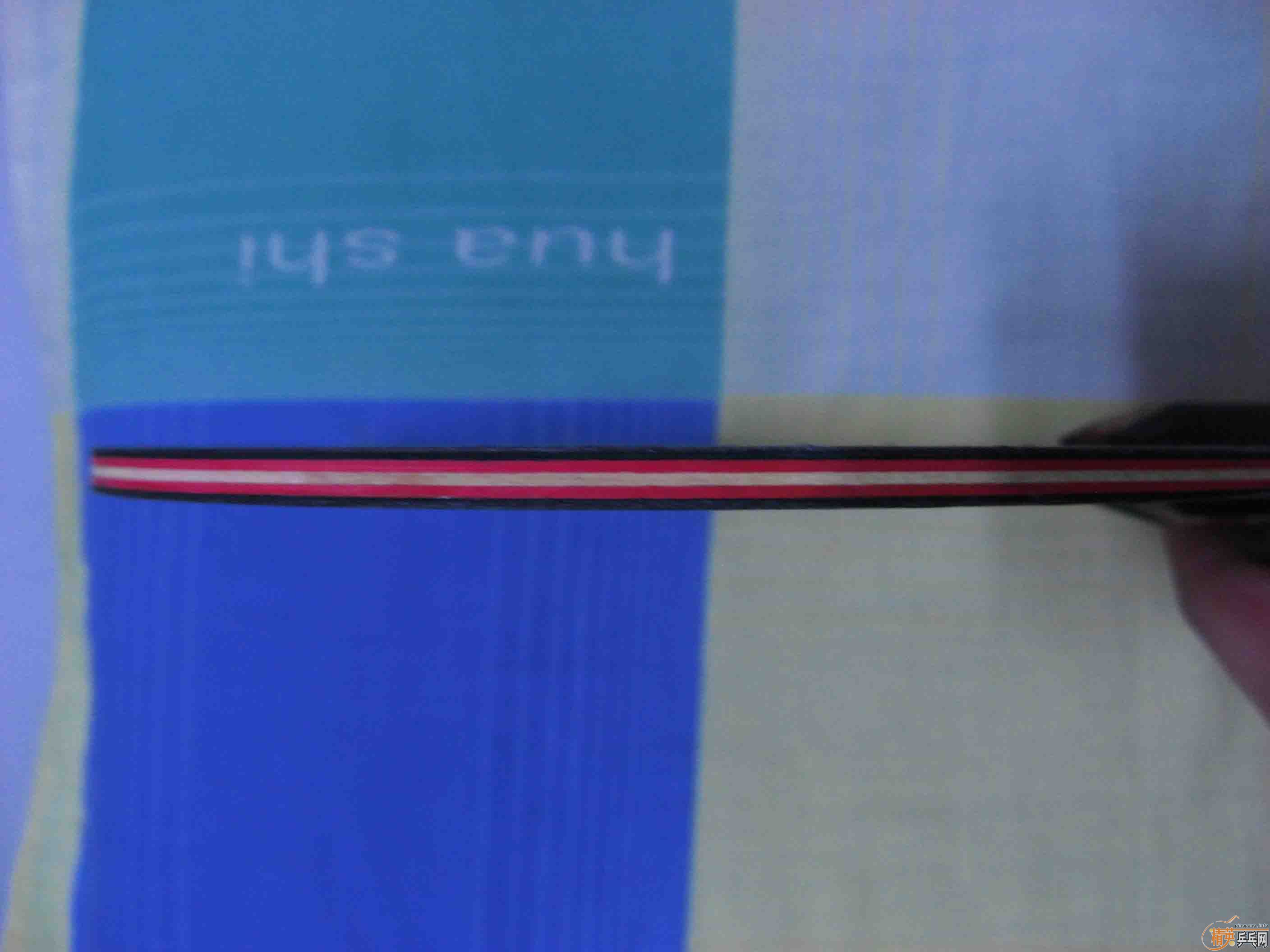 �Ʊ�����M6