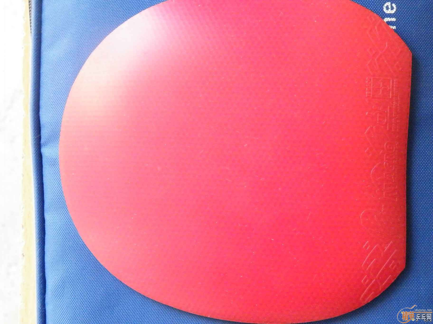 (˰)µDonic Jo gold 100 Palio Macro 90ʣ-->liuzongangת