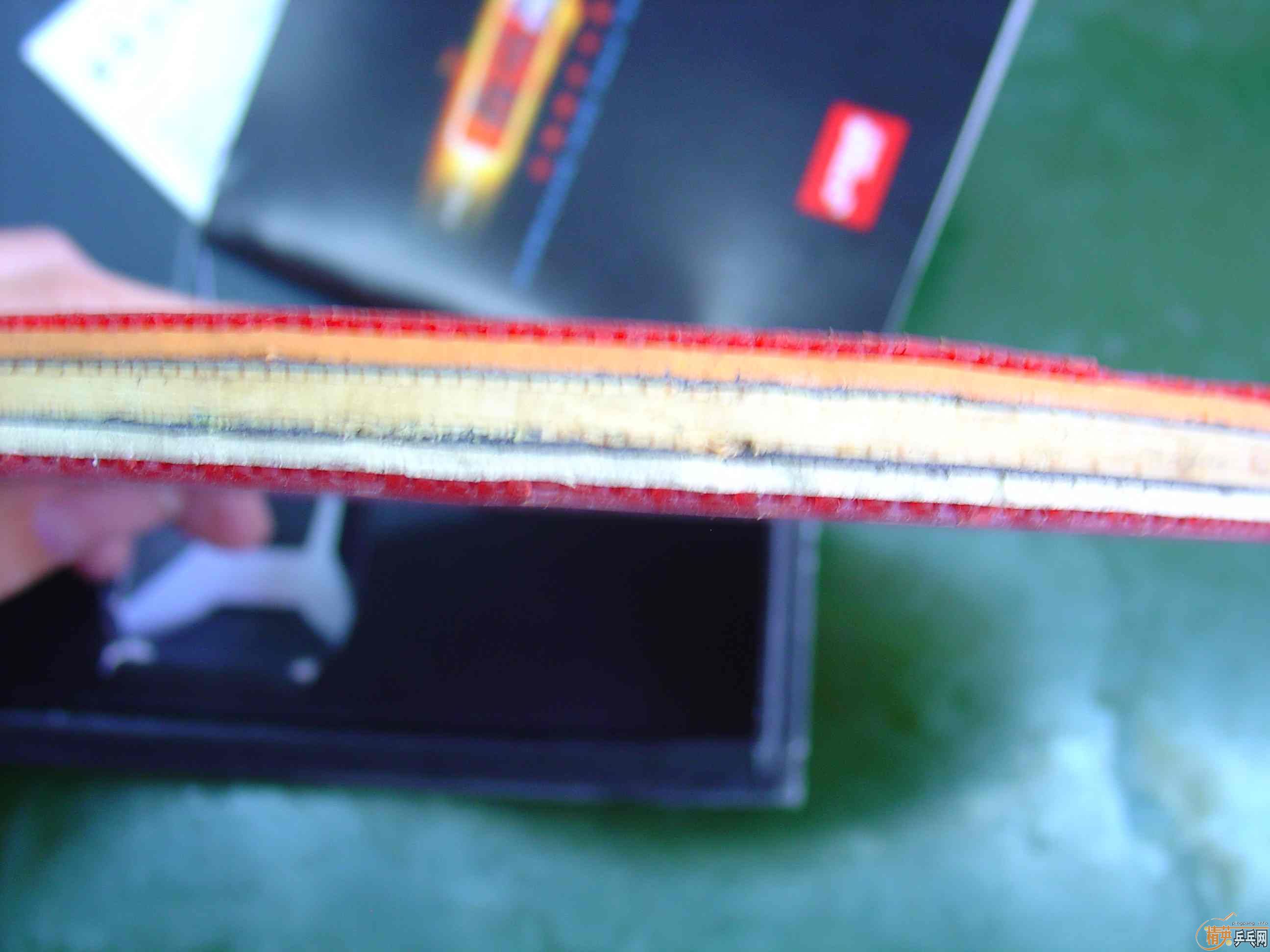 �ٳ�������06���һֻ��ͬ�ȼ�λ�ĵװ塿