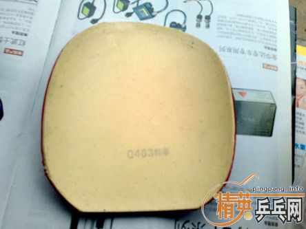 Ԫ����һ���׽�