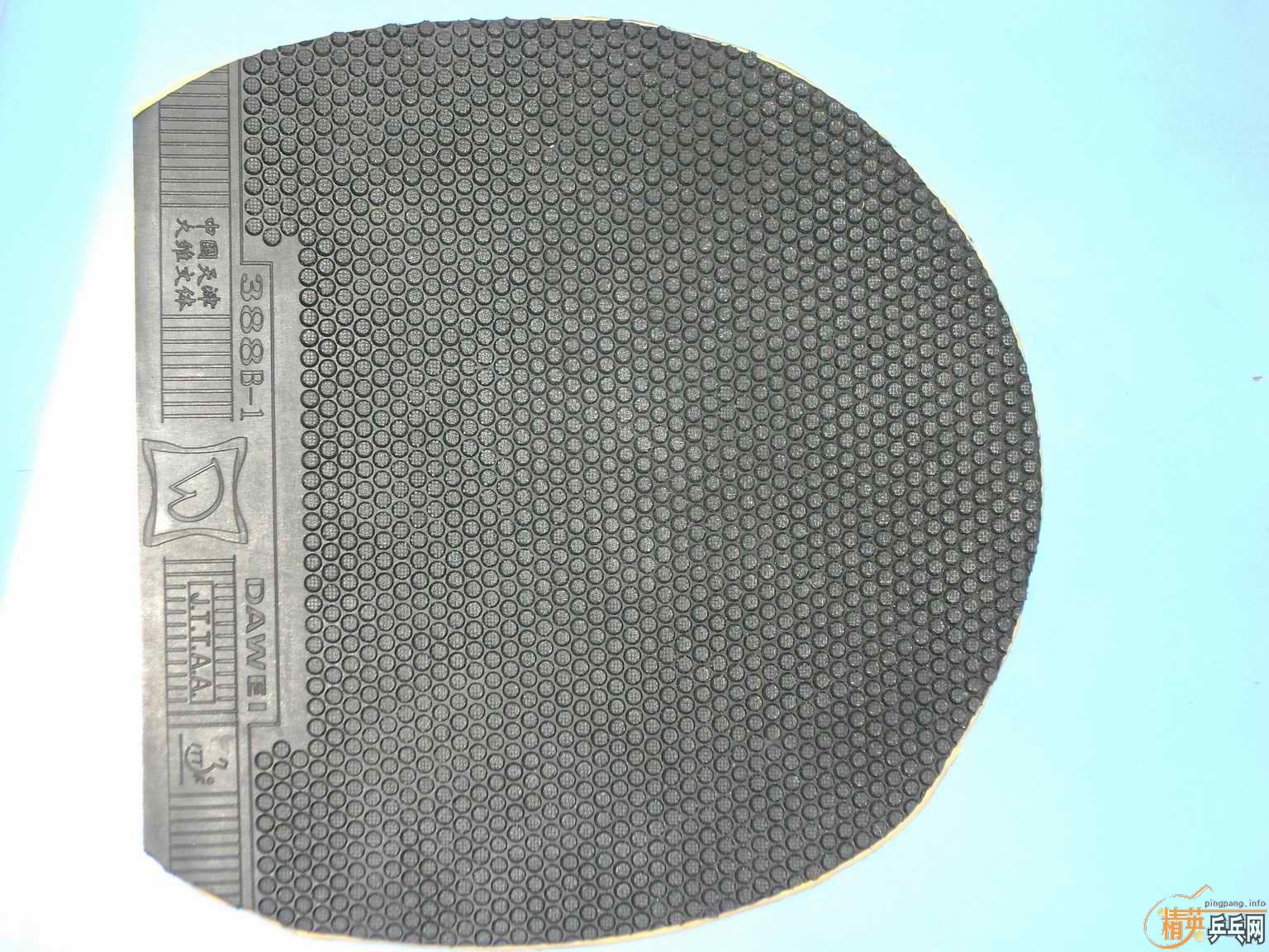 �ͼ۳�����999�װ�