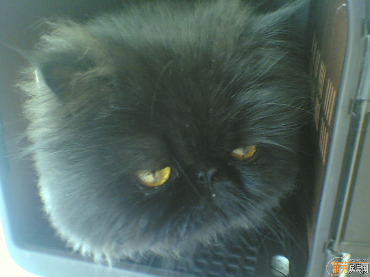 ��������������С��