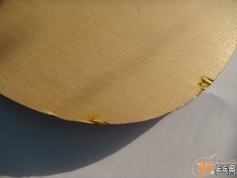 ��729-08��ʡ������DONIC COPPA J.O.��ʩ��̼FL