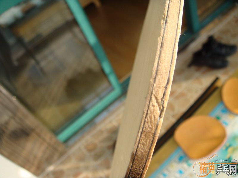 ��729-08��ʡ������DONIC COPPA J.O.��ʩ��̼FL