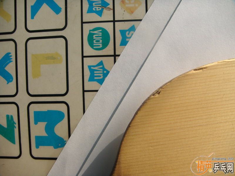 ��729-08��ʡ������DONIC COPPA J.O.��ʩ��̼FL