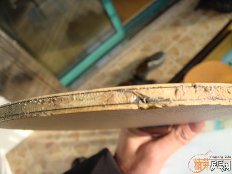 ��729-08��ʡ������DONIC COPPA J.O.��ʩ��̼FL