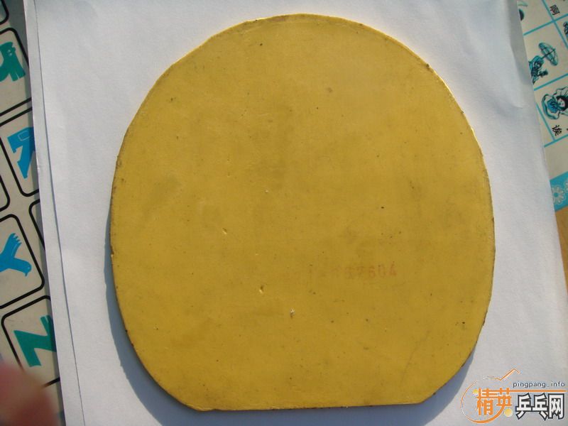 ��729-08��ʡ������DONIC COPPA J.O.��ʩ��̼FL