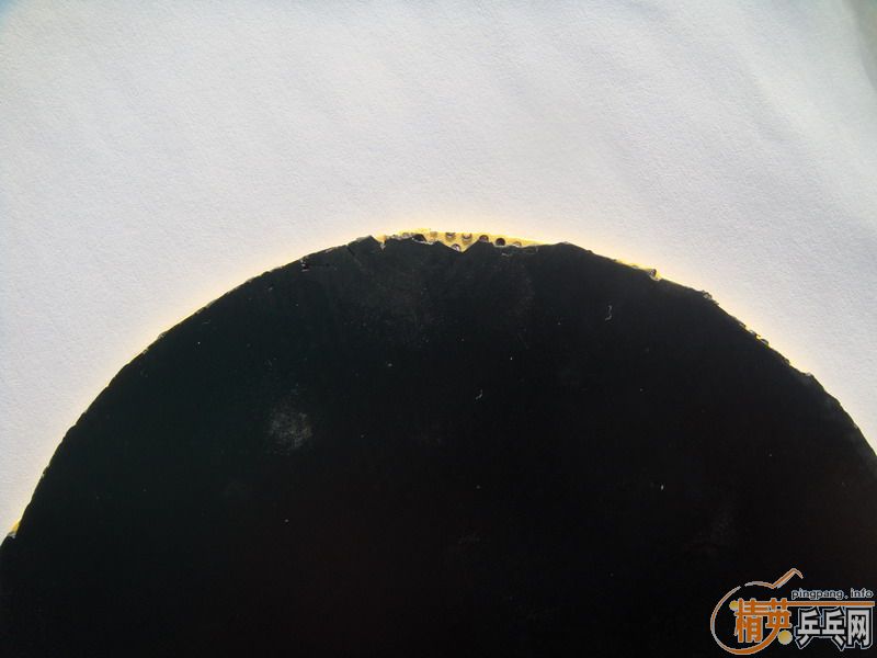 ��729-08��ʡ������DONIC COPPA J.O.��ʩ��̼FL