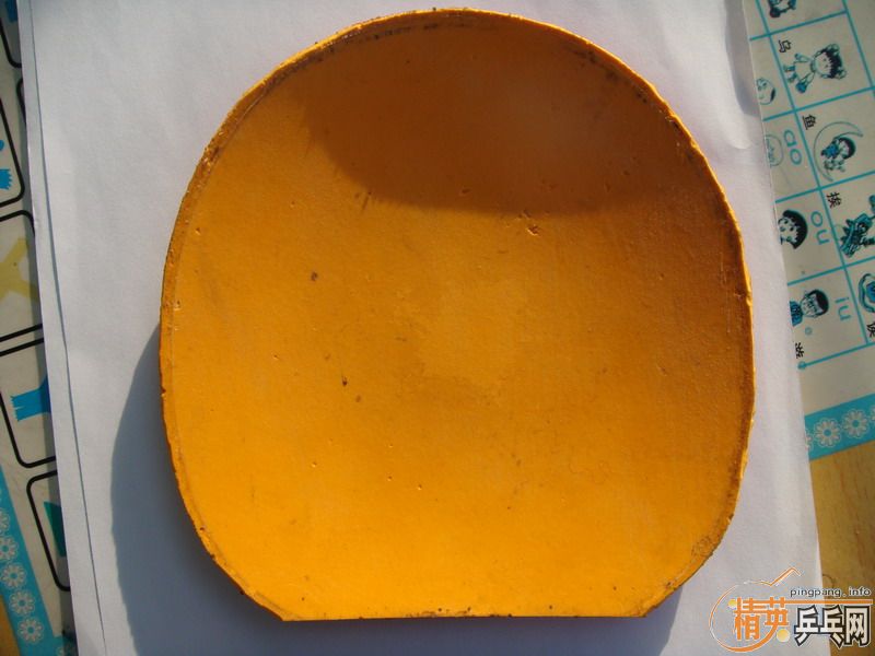 ��729-08��ʡ������DONIC COPPA J.O.��ʩ��̼FL