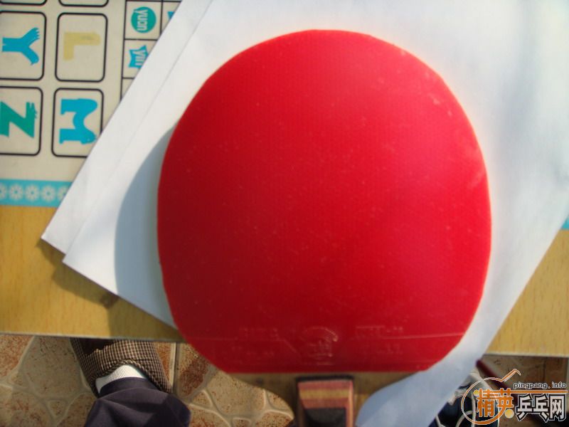 ��729-08��ʡ������DONIC COPPA J.O.��ʩ��̼FL