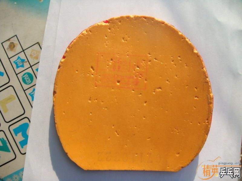 ��729-08��ʡ������DONIC COPPA J.O.��ʩ��̼FL