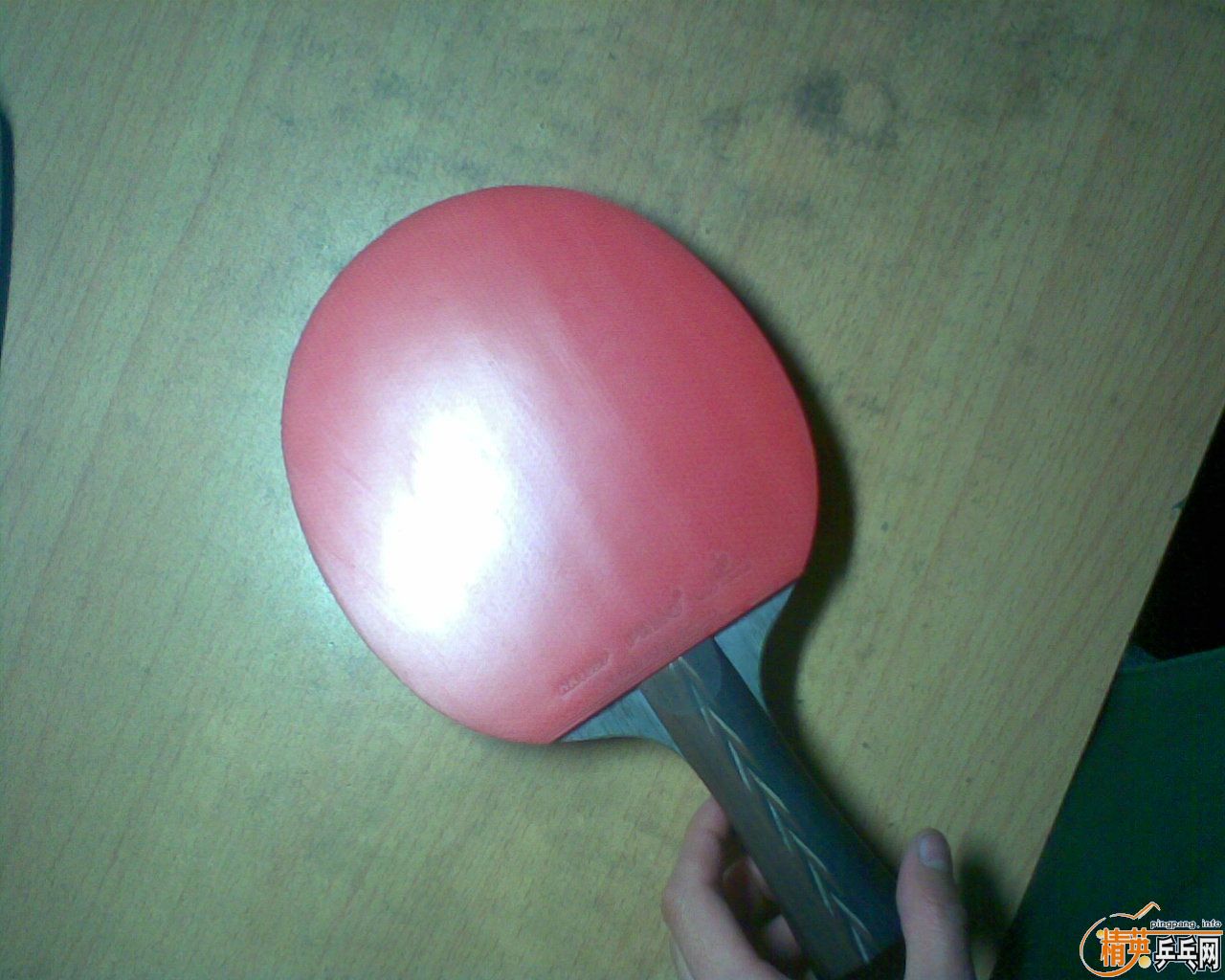 ���۶��ֺ�˫ϲ����2