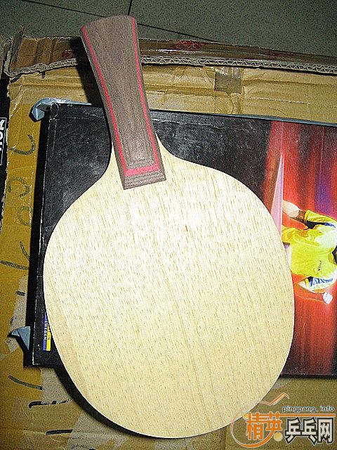 AE �������ģ��з�α��������Σ�����81G ֻ������