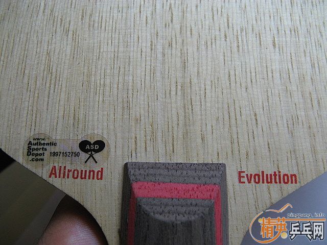 AE �������ģ��з�α��������Σ�����81G ֻ������