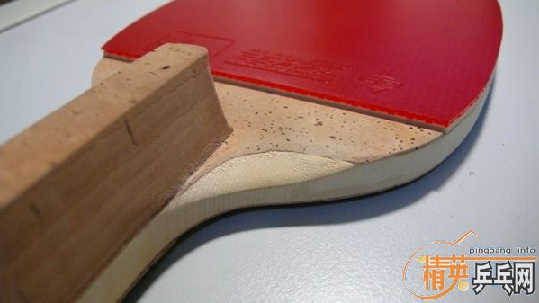 ��ֻ����С��