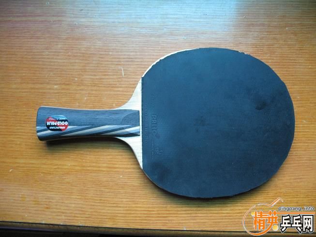 100�����palio̼��+3 �׽�