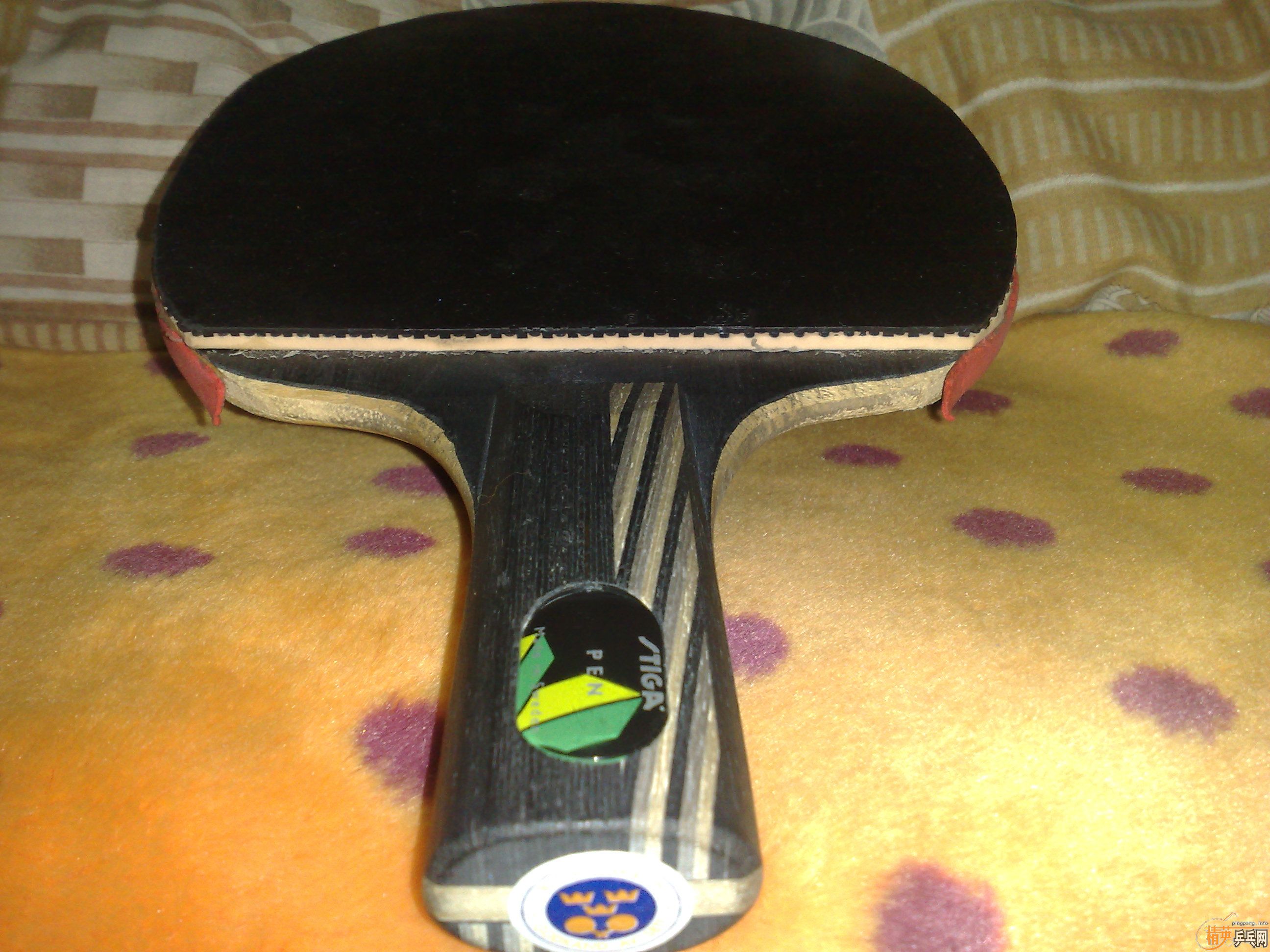 ��һ��9.5�µ�STIGA��ˮ��