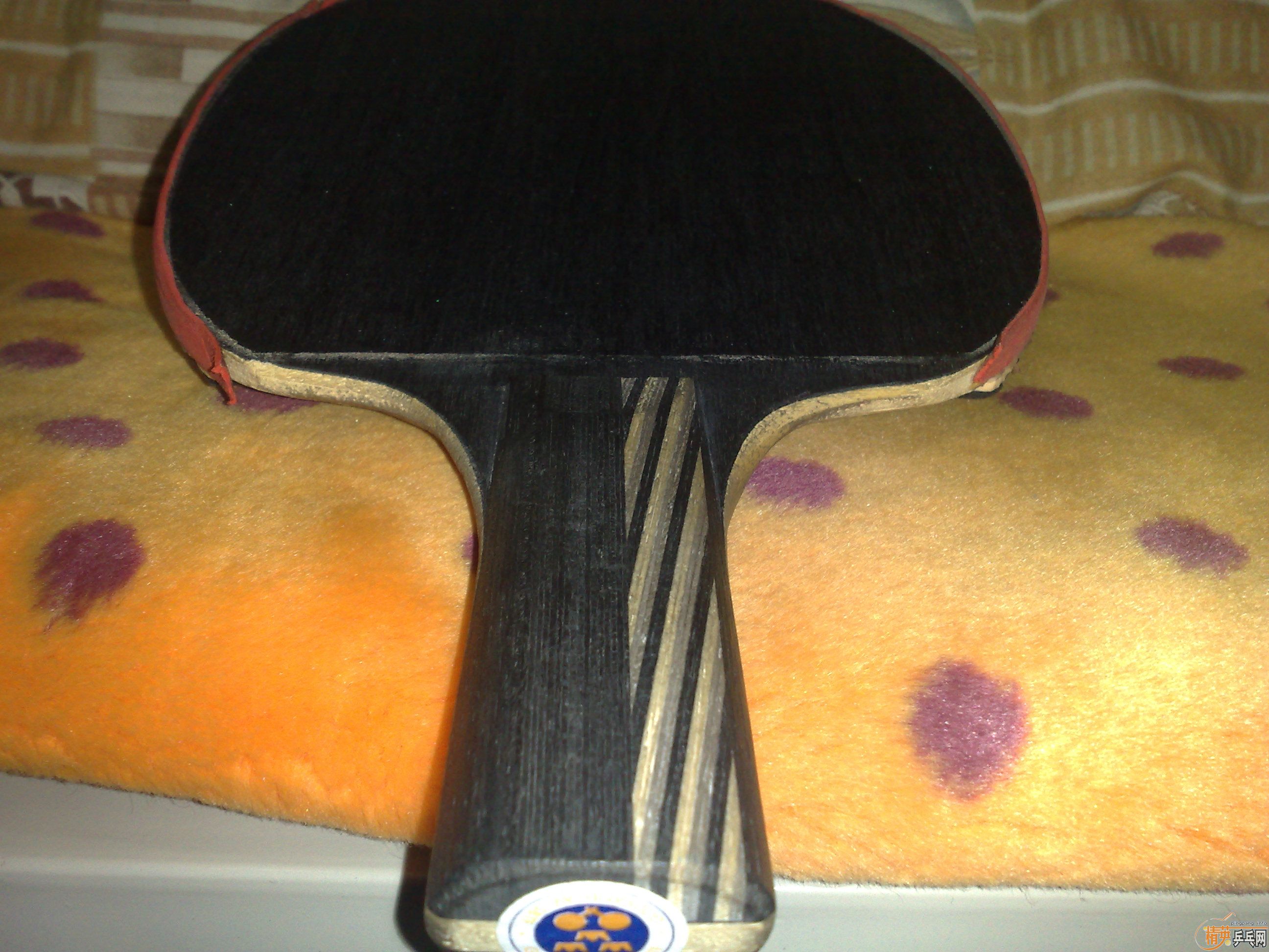 ��һ��9.5�µ�STIGA��ˮ��