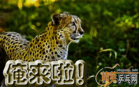 ����ÿ�ձ�������