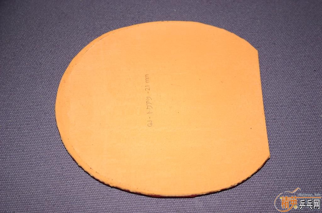 EL 2.1 ��ɫ��100���죩