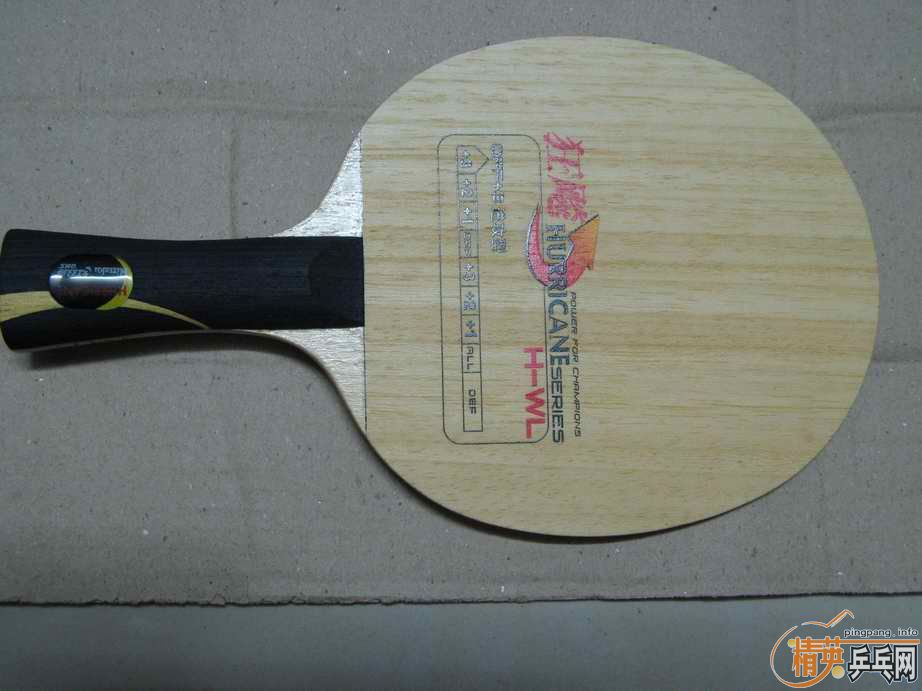 9.8��������DHS H-WL FL����230Ԫ��