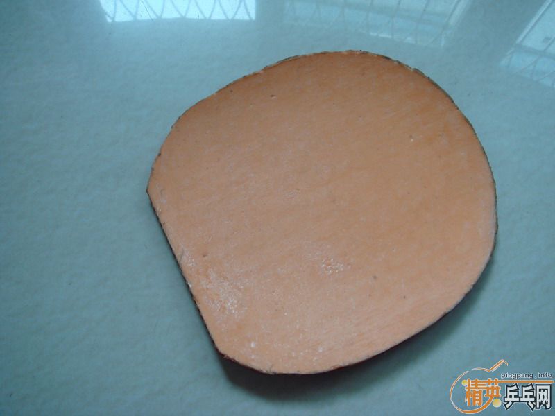 �� SRVIER, EL ,��3 4�齺Ƥ ȫ��230���