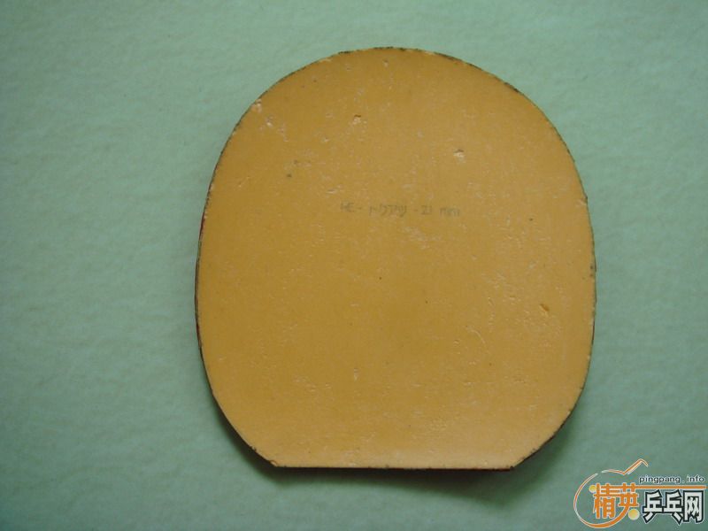 �� SRVIER, EL ,��3 4�齺Ƥ ȫ��230���