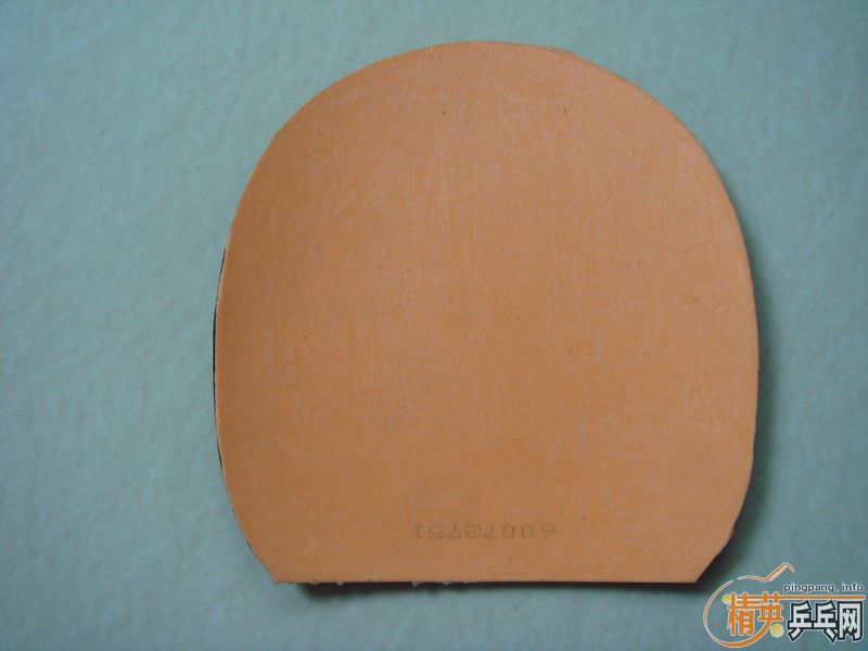 �� SRVIER, EL ,��3 4�齺Ƥ ȫ��230���