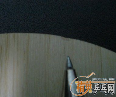 [ֱ��]��Nittaku ANV WN5