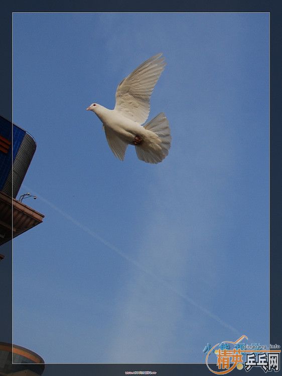 ���ϲ������Ӱ����Ū������Ƭ����ҿ���