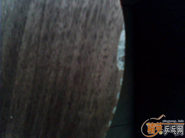 [ԭ��]��fl���̿