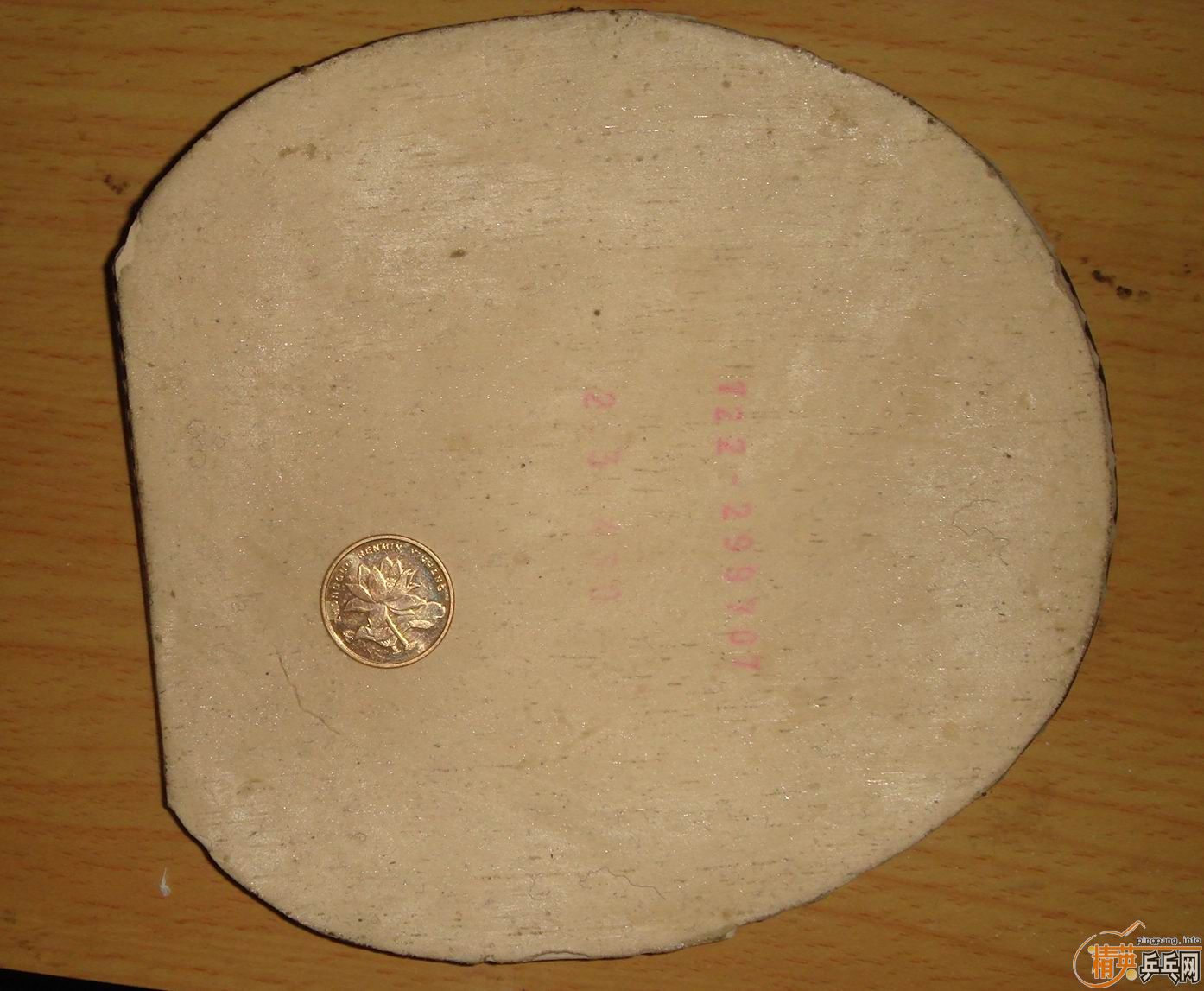 ��2�鴿CL��FL��ST��һ������Ѫ��430