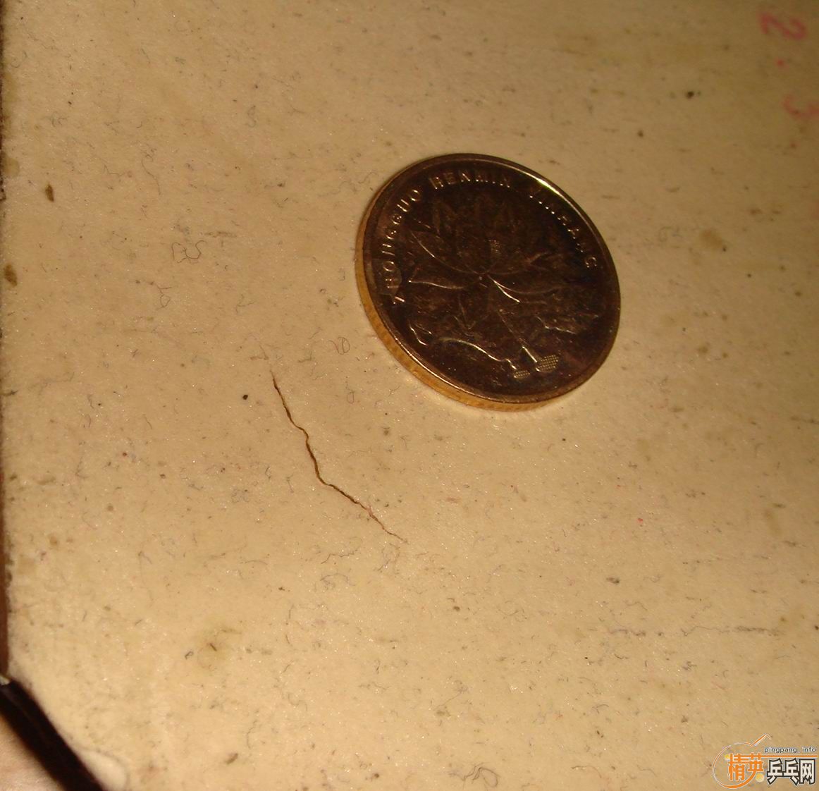 ��2�鴿CL��FL��ST��һ������Ѫ��430