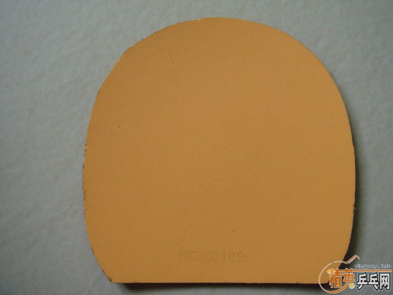 ��SRVIER , EL  , ��3  ��Ƥ����   ȫ����210Ԫ���