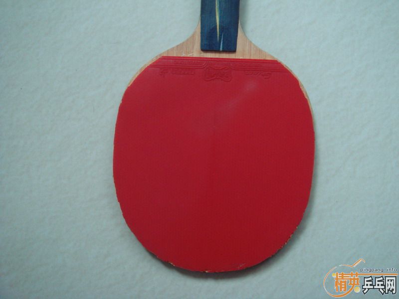 ��SRVIER , EL  , ��3  ��Ƥ����   ȫ����210Ԫ���