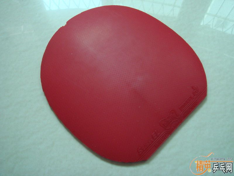 ��SRVIER , EL  , ��3  ��Ƥ����   ȫ����210Ԫ���