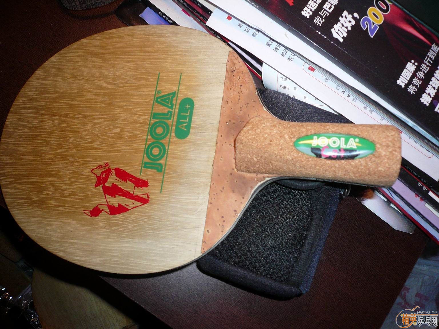 ����֧DIY���İ�:JOOLA-CAT\TIBHAR-Rapid\STIGA-AE