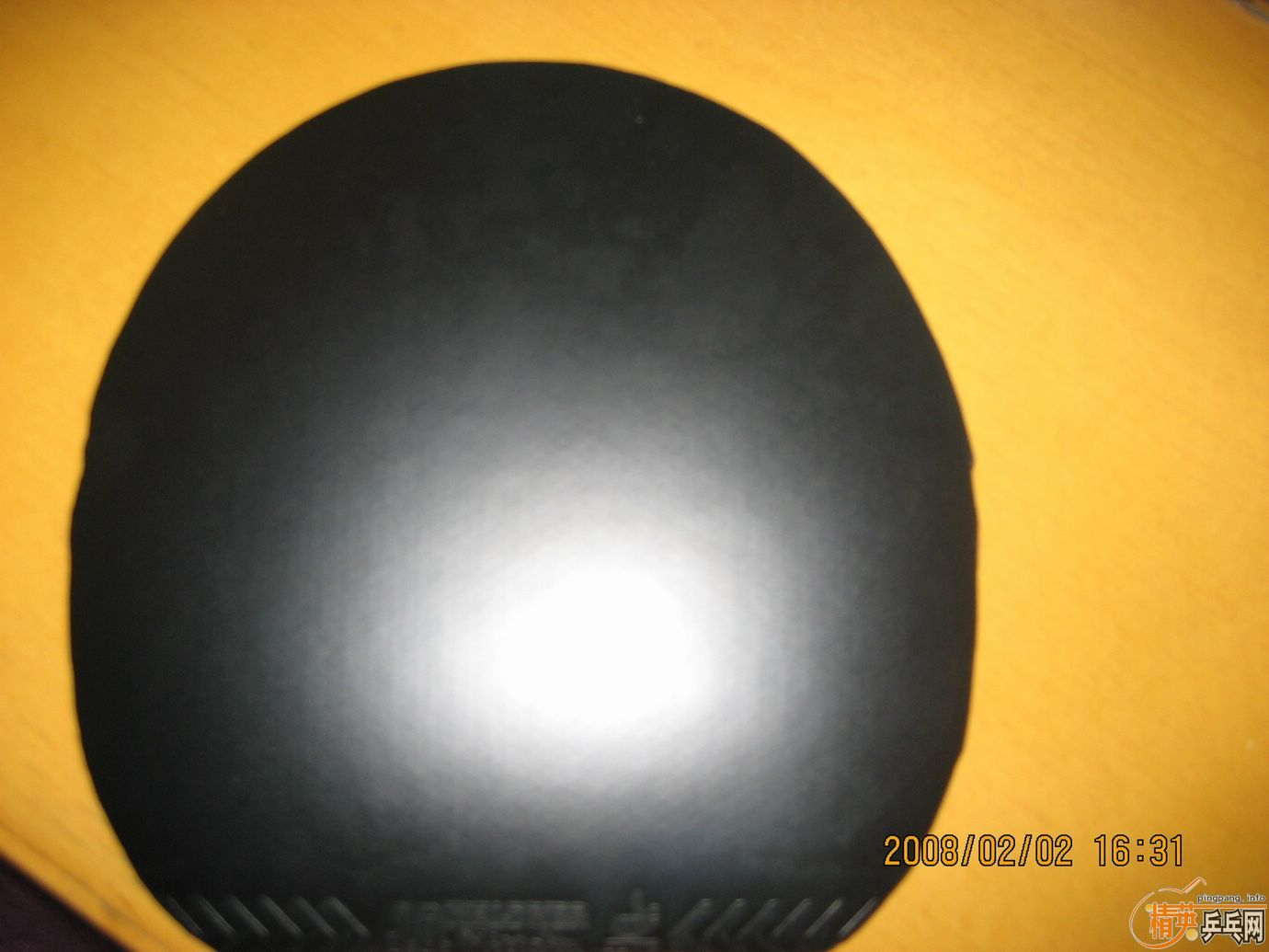 ����ɫ������JOһ��100����9.8��